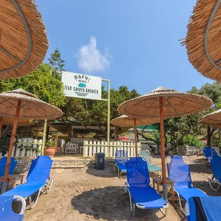 Tortuga Dafni Bay Diver's Paradise By 
