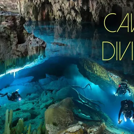 Tortuga Dafni Bay Diver's Paradise By 