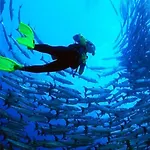 Tortuga Dafni Bay Diver's Paradise By 