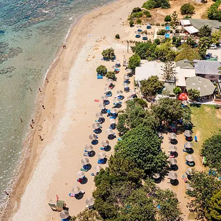 Tortuga Dafni Bay Diver's Paradise By 