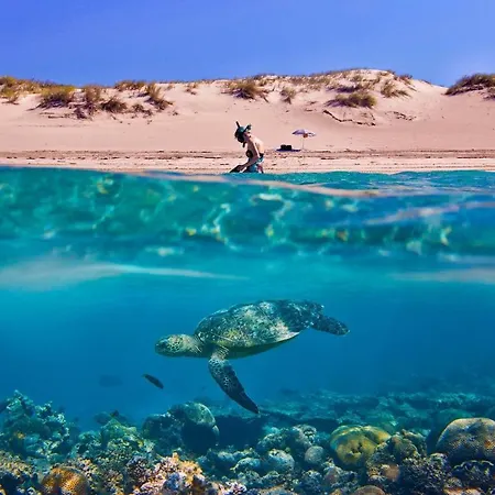 Casa vacanze Tortuga Dafni Bay Diver's Paradise By 