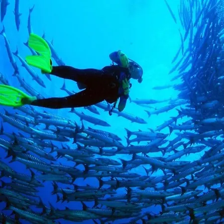 Tortuga Dafni Bay Diver's Paradise By 