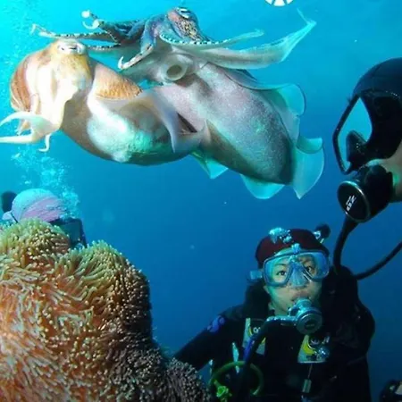 Tortuga Dafni Bay Diver's Paradise By 