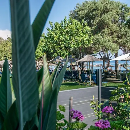 Tortuga Dafni Bay Diver's Paradise By 