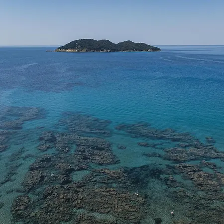 Tortuga Dafni Bay Diver's Paradise By 