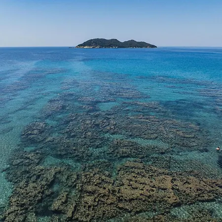 Tortuga Dafni Bay Diver's Paradise By 