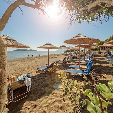 Tortuga Dafni Bay Diver's Paradise By 