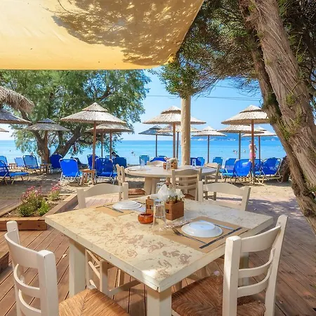 Tortuga Dafni Bay Diver's Paradise By 