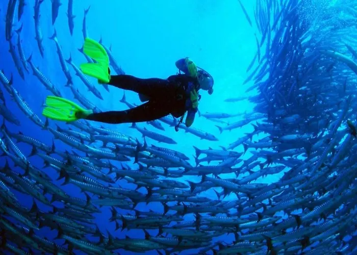 Tortuga Dafni Bay Diver's Paradise By 