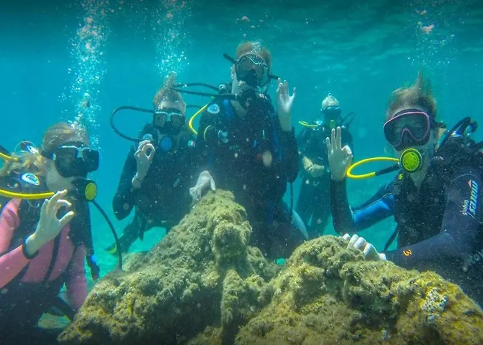 Tortuga Dafni Bay Diver's Paradise By 