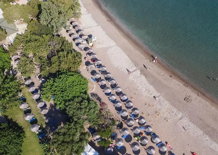 Tortuga Dafni Bay Diver's Paradise By 