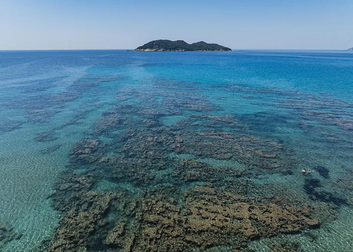Tortuga Dafni Bay Diver's Paradise By 