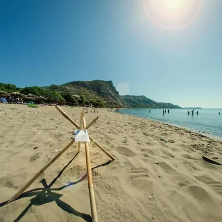 Tortuga Dafni Bay Diver's Paradise By 