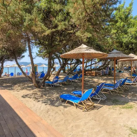 Tortuga Dafni Bay Diver's Paradise By 