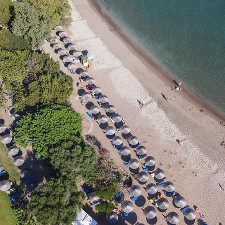 Tortuga Dafni Bay Diver's Paradise By 