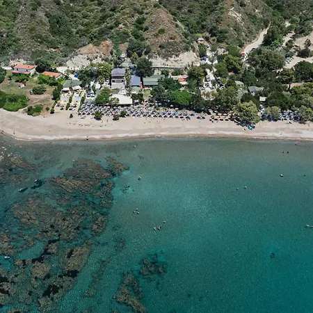 Tortuga Dafni Bay Diver's Paradise By 