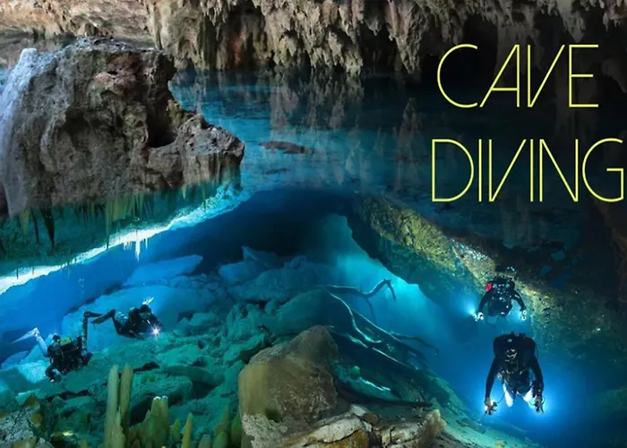 Tortuga Dafni Bay Diver's Paradise By 