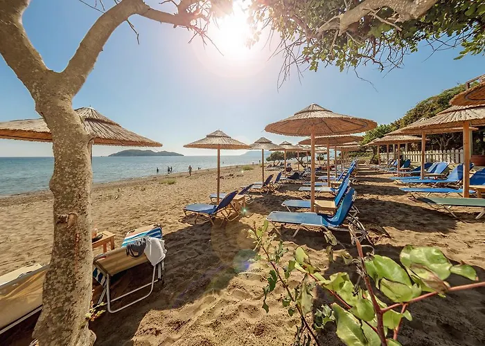Tortuga Dafni Bay Diver's Paradise By 